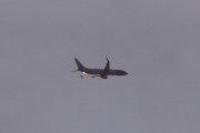 Morten 26 november 2021 - Norwegian over Høyenhall, det er alt for tidlig på morgenen og vi har skyer i dag