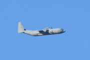 Morten 12 oktober 2021 - Royal Norwegian Air Force over Høyenhall, så da er det vel en Lockheed Martin C-130J-30 Super Hercules