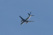 Morten 21 september 2021 - Stort fly over Høyenhall