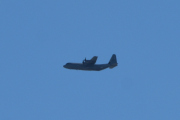 Morten 28 september 2021 - Hercules over Høyenhall, nå har jeg endelig lært meg å kjenne igjen flyet. Det er nok Royal Norwegian Air Force Luftforsvaret med sin Lockheed Martin C-130J-30 Super Hercules