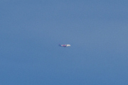Morten 18 april 2022 - Stort fly over Høyenhall