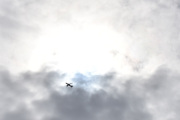 Morten 26 april 2022 - EI-SIM over Høyenhall