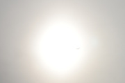 Morten 6 april 2022 - Stort fly og solen over Høyenhall