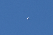 Morten 19 mars 2022 - Jetflyet og det andre flyet over Høyenhall, her ser vi den, den fløy høyt