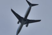 Morten 15 juni 2022 - PH-BXN over Høyenhall, det er KLM Royal Dutch Airlines som kommer med sitt Boeing 737-800 som er over 21 år gammelt og heter Merel / Blackbird
