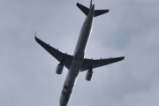 Morten 17 september 2022 - CS-TJI over Ekeberg, er på vei hjem nå, dette er TAP - Air Portugal som kommer med sin Airbus A321neo som er over 4 år gammelt og heter Júlio Pomar
