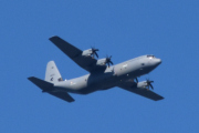 Morten 28 juli 2022 - Royal Norwegian Air Force 5699 besøker Høyenhall, det er et Lockheed Martin C-130J-30 Hercules