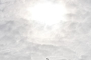Morten 31 mars 2023 - A7-BFM over Høyenhall, det er Qatar Airways Cargo vi ser sammen med solen