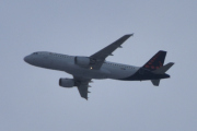 Morten 25 februar 2022 - Brussels Airlines over Høyenhall, det er Belgias flaggbærende flyselskap som har base på Brussel lufthavn