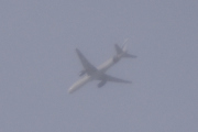 Morten 15 januar 2022 - Stort fly over Høyenhall, dem er der, jeg kan bare ikke se dem