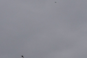 Morten 18 januar 2022 - Stort fly og helikopter over Høyenhall, men skal vi ta en nærmere titt på flyet?