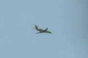 Morten 21 januar 2022 - Små-jet over Høyenhall