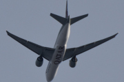 Morten 25 januar 2022 - A7-BFE over Høyenhall, det er Qatar Airways Cargo som kommer med sin Boeing 777-FDZ som er over 8 år gammelt og heter ام عبيرية