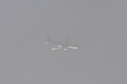 Morten 27 januar 2022 - Stort fly over Høyenhall, det er alt for mye tåke enda
