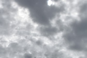 Morten 26 juli 2022 - EI-GED over Høyenhall, den er langt unna, og nå tar jeg en sjanse