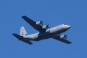 Morten 28 juli 2022 - Super Hercules 5699 besøker Høyenhall