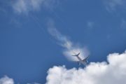Morten 25 mai 2022 - Stort fly over Høyenhall, den kom fra en uventet retning, men jeg håper dere ser det jeg ser