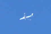 Morten 12 mars 2022 - Stort fly over Høyenhall, noe sier meg at dette kan være KLM