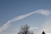 Morten 14 mars 2022 - Jetflyet og fuglen