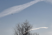 Morten 14 mars 2022 - Jetflyet og fuglen