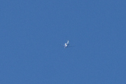 Morten 19 mars 2022 - Jetflyet og det andre flyet over Høyenhall, her ser vi den, den fløy høyt