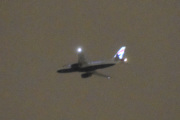 Morten 23 november 2022 - Stort fly over Høyenhall, det var nesten...