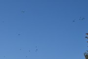Morten 11 oktober 2022 - ET-AVN over Høyenhall, jeg følger en fugleflokk da jeg plutselig oppdager et fly