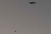 Morten 30 oktober 2022 - Ethiopian Airlines Cargo over Høyenhall