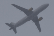 Morten 16 april 2023 - Vueling Airlines over Høyenhall