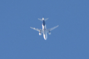 Morten 8 april 2023 - Stort fly over Høyenhall