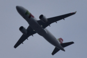 Morten 9 april 2023 - TAP Air Portugal over Høyenhall, det blir det siste store flyet på 1 påskedag