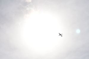 Store fly 2023 august