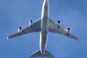 Morten 1 august 2023 - OO-ACF over Høyenhall, klokken er 09.46. Det er Challenge Airlines BE som kommer med sin Boeing 747-4EVERF som er fra 2007. Jeg tok mitt første bilde av denne 26 mars 2022, og jeg har 14 bilder av deg hittil