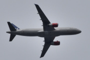 Morten 18 august 2023 - OY-KAP over Høyenhall, det er SAS Scandinavian Airlines som kommer med sin Airbus A320-232 fra 2007 og heter Viglek Viking. Jeg tok mitt første bilde 11 februar 2022, men nå må vi sitere. En tøff viking ved navn Viglek tok Danmarks trone i Amleths fravær. Amleth kom tilbake så snart han hørte det, men fant situasjonen...