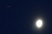 Morten 2 desember 2023 - Stort fly og månen over Høyenhall, klokken er ikke 08.00 en gang, så det er for tidlig og dokumentere