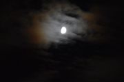 Morten 22 november 2023 - Stort fly over Høyenhall på kvelden, du ser flyet nederst i bilde under månen