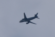 Morten 4 februar 2023 - Stort fly over Høyenhall
