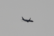Morten 10 februar 2023 - Stort fly og jetflystripen