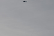 Morten 13 februar 2023 - Jetfly og SAS over Høyenhall