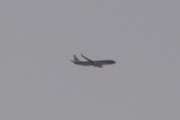 Morten 28 januar 2023 - KLM over Høyenhall