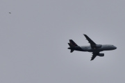 Morten 28 mai 2023 - Stort fly over Høyenhall