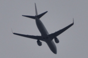 Morten 11 mai 2023 - Stort fly over Høyenhall, da er det på tide og gi seg