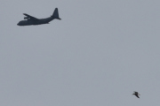 Morten 25 mai 2023 - Super Hercules over Høyenhall