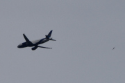 Morten 28 mai 2023 - Stort fly over Høyenhall