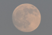 Morten 4 mai 2023 - Norwegian og månen over Høyenhall, og det er fullmåne og jeg skal snart legge meg, må bare ta meg av et lite fly først