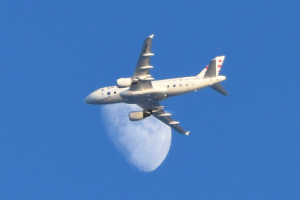 Store fly 2023 mars