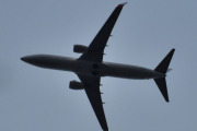 Morten 15 november 2023 - LN-NGK over Høyenhall