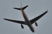 Morten 15 oktober 2023 - Stort fly over Høyenhall, men det har blitt for mørkt. Jeg kunne ha gjettet en Airbus A350, men måten de to motorene henger på forvirrer meg litt