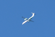 Morten 16 oktober 2023 - Widerøe over Høyenhall, det er en Dash-8 Q400, men alle har nok ikke fått de nye fargene