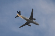 Morten 12 september 2023 - OY-KBR over Høyenhall, jeg tror det er SAS Scandinavian Airlines som kommer med sin Airbus A319-131 fra 2007 og heter Sten Viking. Har jeg rett så fikk du nye motorer mellom 18 mars 2022 og 19 august 2022